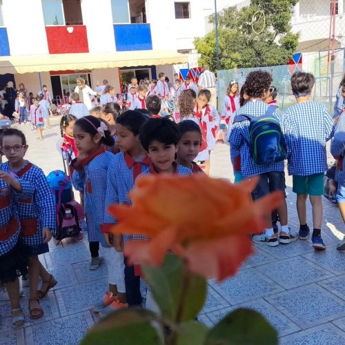 WhatsApp Image 2025-10-11 à 15.37.05_c07330aa